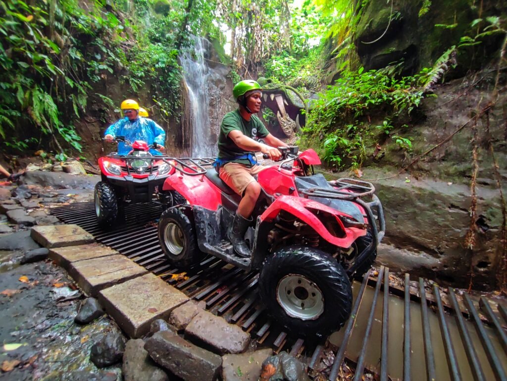 Elephant Care & Mud Spa