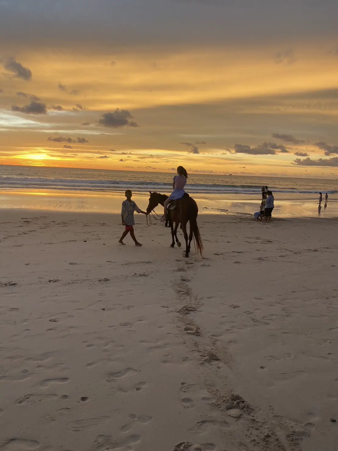 Coral + Banana Beach Combo